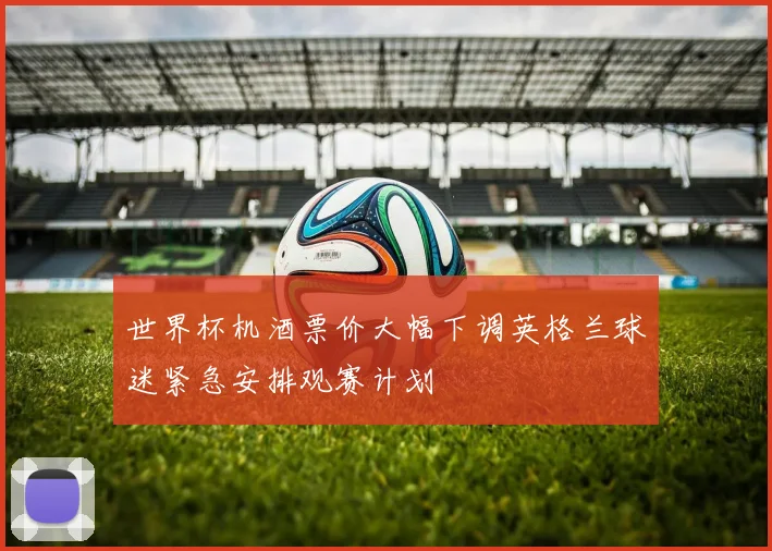 世界杯机酒票价大幅下调英格兰球迷紧急安排观赛计划