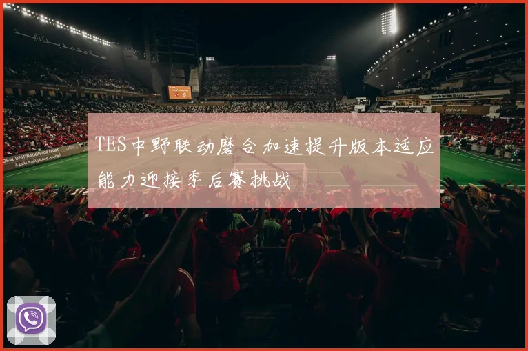 TES中野联动磨合加速提升版本适应能力迎接季后赛挑战