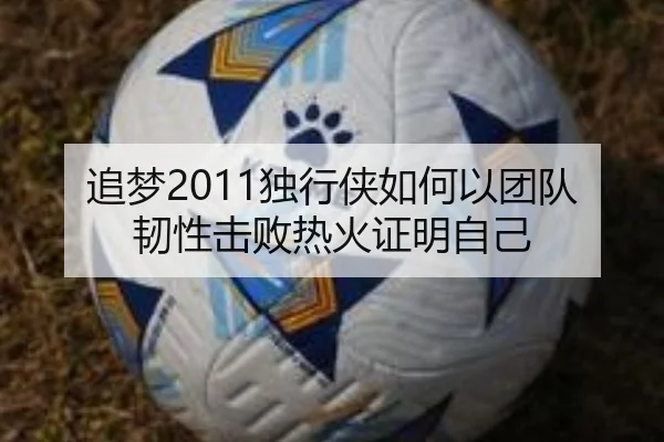 追梦2011独行侠如何以团队韧性击败热火证明自己 - kaiyun.comapp