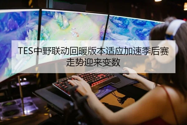 TES中野联动回暖版本适应加速季后赛走势迎来变数（kaiyun.comapp）